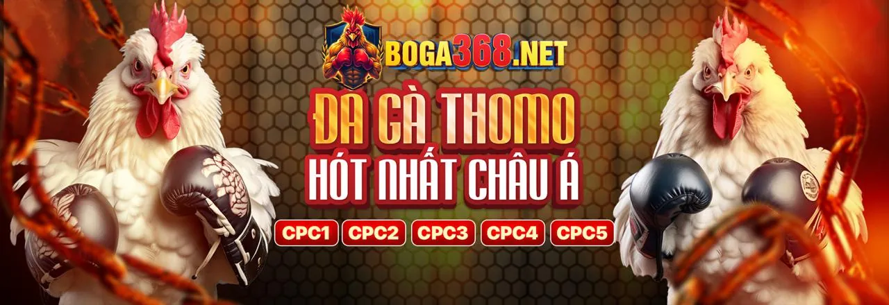 Hướng dẫn chơi cá cược 8ki hiệu quả