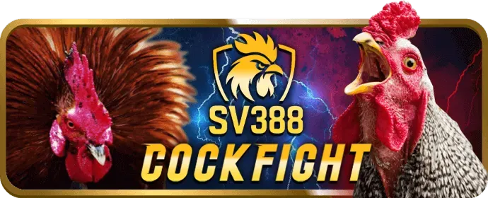 Cá cược Thể Thao 8ki