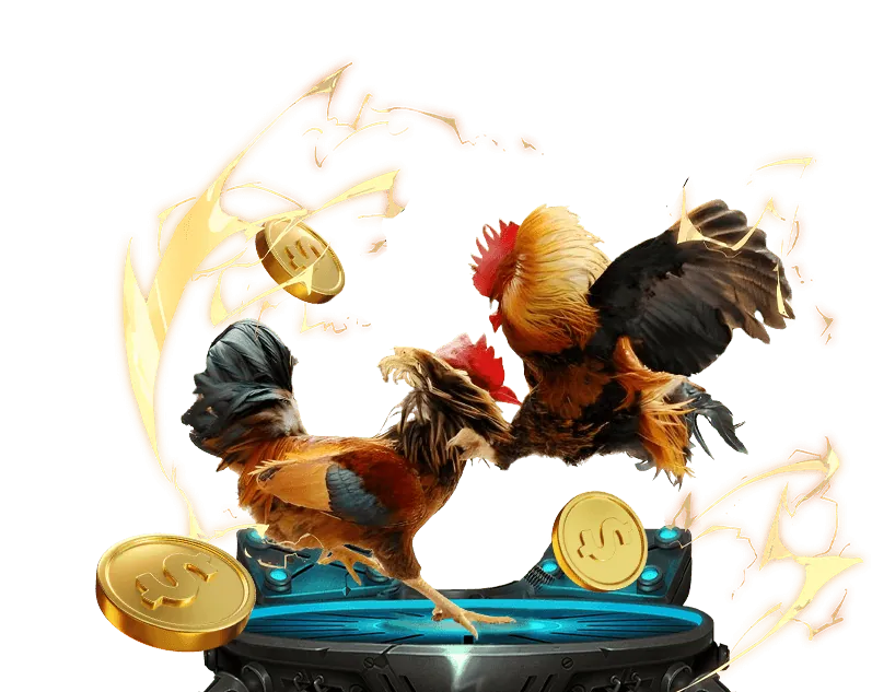 Chương trình VIP nohu88